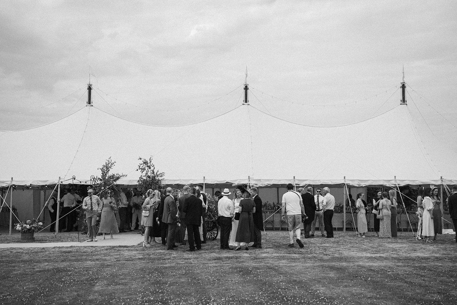 wedding guests standing together at a garden marquee wedding, coordinated by Hardesty Event Design